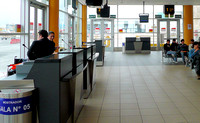 Domestic gates